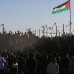 043078200-1600777827-thumbs_b_c_272758710eee9075799