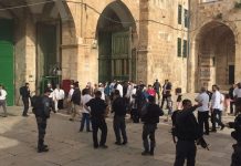 Ratusan Imigran Gelap Yahudi Nodai Masjid Al-Aqsa