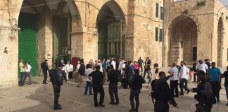 Ratusan Imigran Gelap Yahudi Nodai Masjid Al-Aqsa