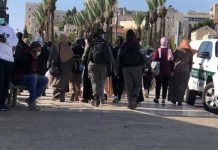 Wanita ini Ditangkap Israel Saat Hendak Shalat di Masjid Al-Aqsa