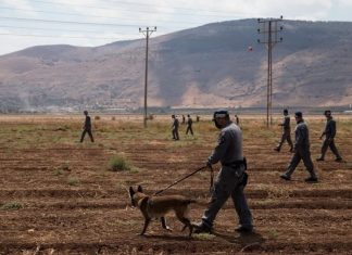 Gilboa dan Lubang Seniper, Menaklukkan Penjajah Israel Bukan Mustahil