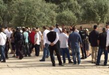 Ratusan Zionis Yahudi Nodai Masjid Al-Aqsa