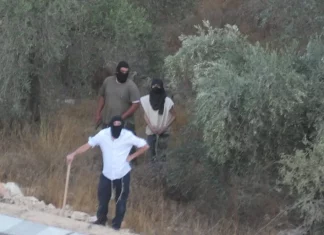 Pemukim Yahudi Serang Petani Zaitun, Tentara Tingkatkan Serangan di Tepi Barat