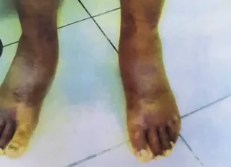 Rakefet, Penjara Rahasia Israel: Tempat Sandera Palestina Disiksa Tanpa Hak Hukum