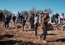 Kekerasan Pemukim Israel di Tepi Barat Kian Brutal, PBB Catat 60 Serangan dalam Sepekan