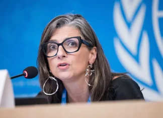 Albanese: Genosida di Gaza Hapus 69 Tahun Pembangunan