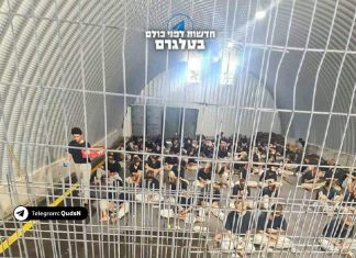 “Aku Ingin Mati Setiap Saat”, Kesaksian Pelecehan dan Pemerkosaan terhadap Sandera Palestina