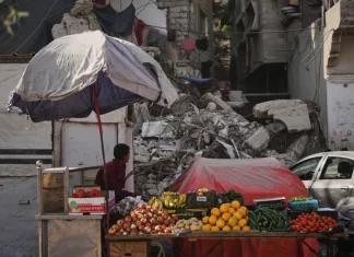 Al-Qararah, Kota Pertanian Gaza yang Dihancurkan Israel