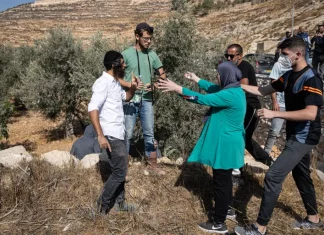 PBB: Serangan Pemukim Israel Capai Rekor Tertinggi di Tepi Barat