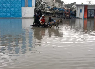 PBB: Gaza di Ambang Bencana, Pelanggaran di Tepi Barat Mencapai Titik Paling Berbahaya