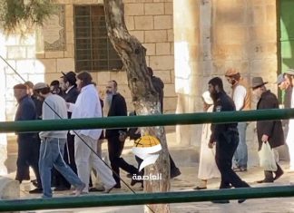 Gelar Ritual Talmud, Puluhan Pemukim Yahudi Nodai Masjid Al-Aqsa