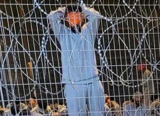 Kesaksian Jurnalis Gaza: Disiksa Secara Seksual di Kamp “Sde Teiman”