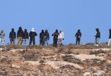 PBB: Pemukim Israel Lakukan 1.800 Serangan di Tepi Barat selama 2025