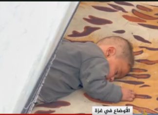 Gaza Kehilangan Anak: Eilen, Korban Terbaru Krisis Kesehatan