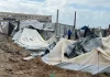 Hadapi Badai dengan Tenda Rapuh, Kisah Warga Gaza di Tengah Cuaca Ekstrem