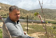 Warga Palestina Terus Bertahan dari Serangan Brutal Tentara dan Pemukim Israel