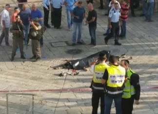 Haaretz: Cukup Dicap Palestina, Lalu Tentara Israel Bisa Tembak Mati dengan Dalih Ancaman