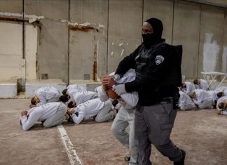 Kekerasan Seksual di Penjara Israel, Pola Sistematis untuk Melumpuhkan Tahanan Palestina