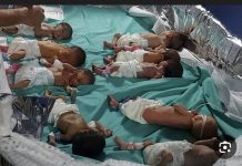Kisah Bayi Prematur Gaza yang Lolos dari Maut: Mereka Disangka Meninggal, Lalu Dipeluk Kembali