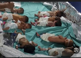 Kisah Bayi Prematur Gaza yang Lolos dari Maut: Mereka Disangka Meninggal, Lalu Dipeluk Kembali