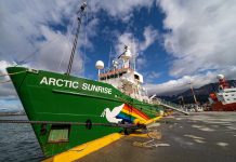 Greenpeace Ikut Berlayar bersama Global Sumud Flotilla ke Gaza