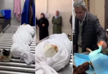 Tentara Israel Tembak Mati Siswi Gaza Dalam Kelas Darurat di Hadapan Teman-Temannya