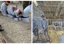GPCI: Penyiksaan Aktivis GSF Baru Secuil dari Derita Tahanan Palestina di Penjara Israel