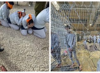 GPCI: Penyiksaan Aktivis GSF Baru Secuil dari Derita Tahanan Palestina di Penjara Israel