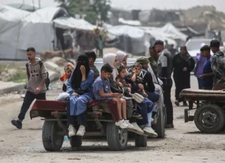Antara Janji dan Realitas Kelam, Rencana AS di Gaza Kegagalan Total