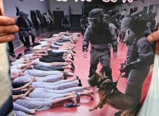 Tentara Israel Perkosa Warga Palestina Dibantu Anjing di dalam Penjara