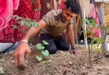 Berkebun di Sela Tenda, Perjuangan Petani Gaza Melawan Politik Kelaparan