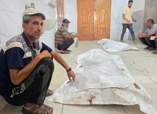 8 Syahid dan 17 Terluka Akibat Pembantaian Terbaru di Gaza