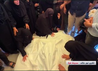 Satu per Satu Syahid, Ibu Gaza ini Kehilangan Suami dan Enam Anaknya Dibantai Israel