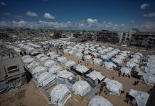 Tenda Pengungsian Gaza: Cacar Air Perparah Penderitaan Pengungsi di Tengah Kelangkaan Obat