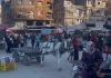 Di Tengah Mahalnya Biaya Hidup, Keledai Jadi Moda Transportasi Populer di Gaza
