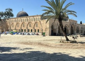 800 Surat Pengusiran, Warga Palestina Makin Terdesak di Al-Aqsa