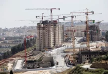 Masuk Daftar PBB, Apakah Perusahaan Otomatis Kena Sanksi karena Aktivitas di Permukiman Israel?