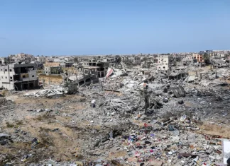 Ribuan Tikus “Serbu” Pos Militer dan Pemukiman Israel di Dekat Gaza