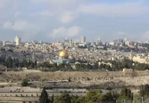 Zaitun di Halaman Al-Aqsa: Bantuan Pangan Keluarga Miskin di Tengah Ancaman Penjajah