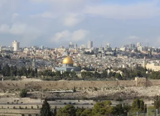 Zaitun di Halaman Al-Aqsa: Bantuan Pangan Keluarga Miskin di Tengah Ancaman Penjajah