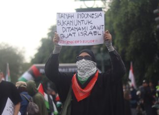 Ribuan Ton Sawit Indonesia Mengalir ke Israel, Singapura Jadi Jalur Perantara