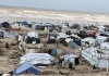 21 Berita Sehari, Pelapor Khusus PBB Sebut Media Israel Menghasut Genosida di Gaza