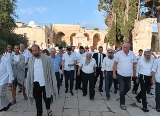 Tiga Pekan Berat di Al-Aqsa, Lebih dari 11 Ribu Pemukim Israel Lakukan Penyerbuan