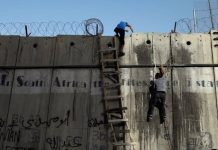 Realita Pekerja Palestina: Berangkat Sebelum Fajar, Pulang Tanpa Kepastian