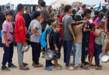 “Bagaimana Kami Bisa Bertahan Hidup?”